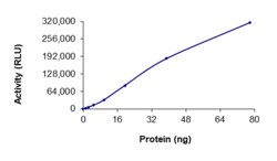 Sino Biological&nbsp;Recombinant Human TrkA Protein (G595R, GST Tag), Active